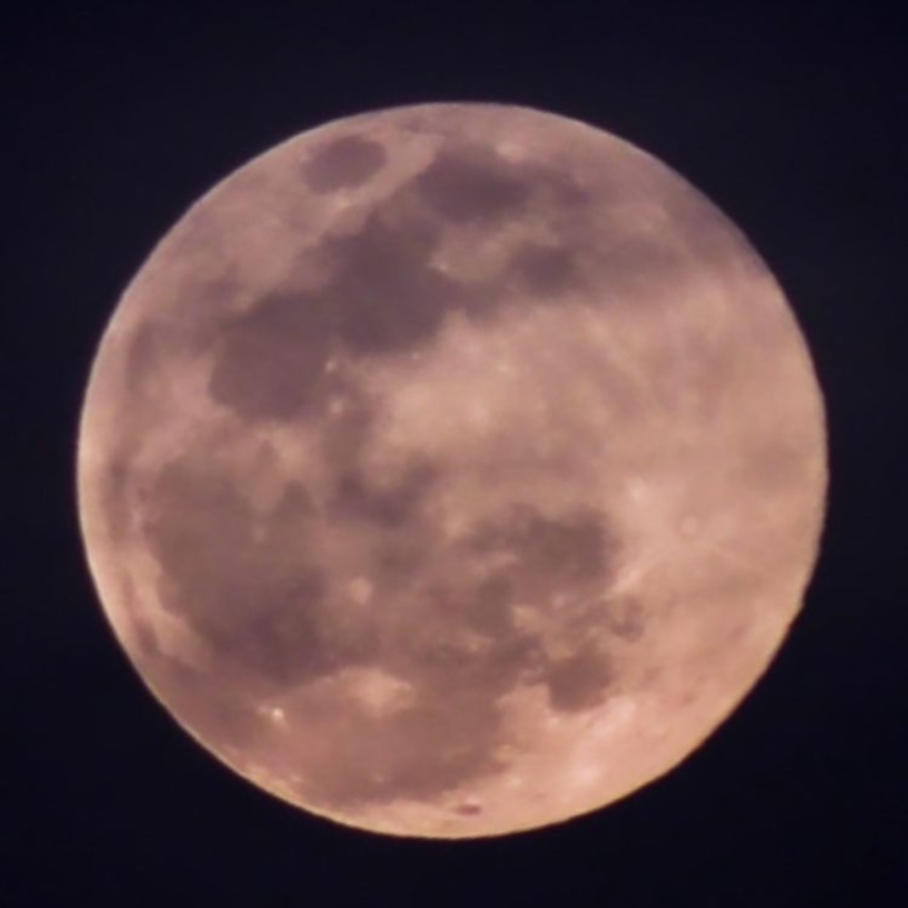 Meet your Posher, Delyla